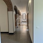 Rent 1 bedroom apartment of 311 m² in Cittadella