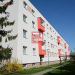 Pronajměte si 20 ložnic/e byt o rozloze 20 m² v Olomouc