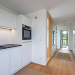Exceptional bright apartment with private roof terrace near Frankfurt