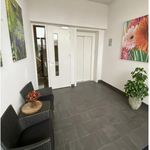 Rent 2 bedroom apartment of 96 m² in Veldhoven