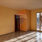 Rent 3 bedroom apartment of 118 m² in Casteldaccia
