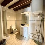 Rent 1 bedroom apartment of 30 m² in Fontenay-Trésigny