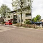 Rent 2 bedroom apartment of 80 m² in Hapert