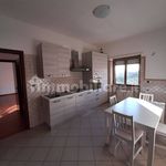 Affitto 3 camera appartamento di 110 m² in Anagni