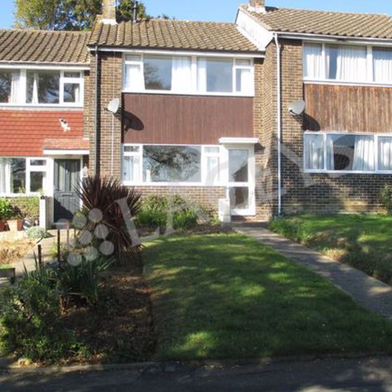 Terraced house to rent in St. Marys Crescent, Yeovil BA21 New Town
