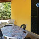 Rent 1 bedroom house of 50 m² in Ravenna