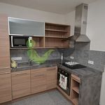 Pronajměte si 1 ložnic/e byt o rozloze 50 m² v Plzeň