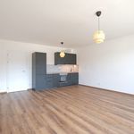 Rent 1 bedroom apartment of 46 m² in Liberec