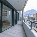 Rent 2 bedroom apartment of 55 m² in Lugano