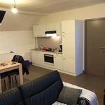 Rent 1 bedroom apartment in Morlanwelz