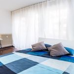 Rent 5 bedroom apartment in Venice
