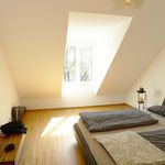 Miete 1 Schlafzimmer wohnung von 111 m² in Trier