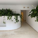 Rent 2 bedroom apartment of 186 m² in Malaga