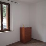Rent 1 bedroom apartment of 65 m² in Pisa