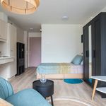 Rent 1 bedroom house of 28 m² in Ternaard