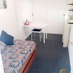 Rent 2 bedroom apartment of 55 m² in Bilbo