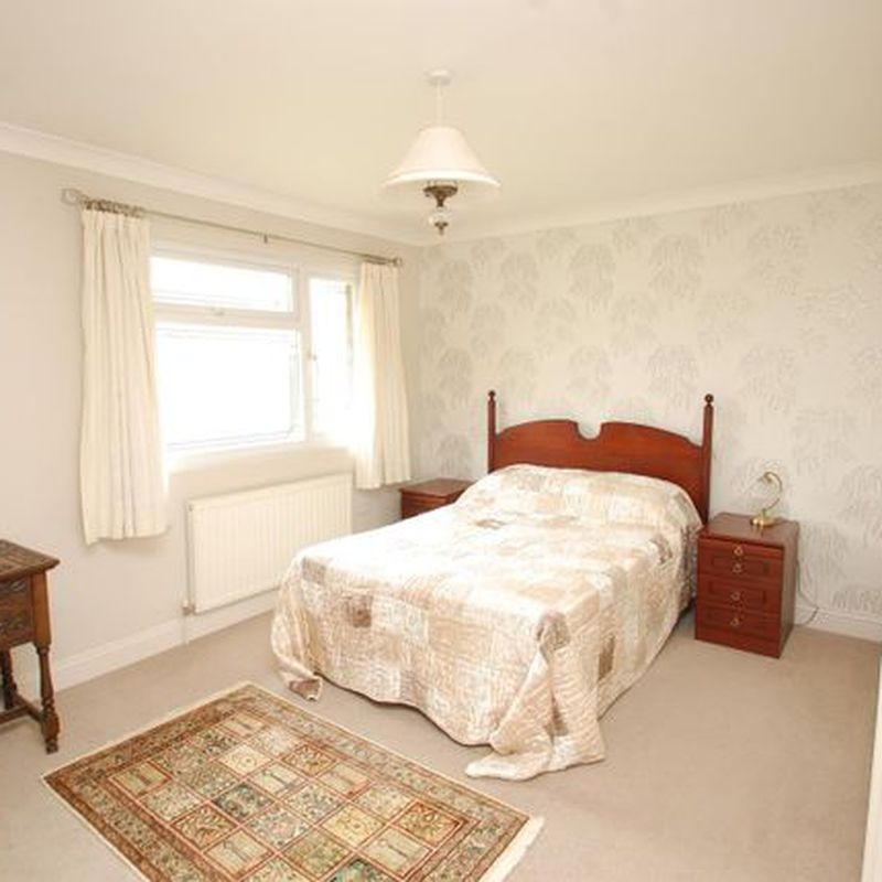 Bungalow to rent in Lewis Close, Shenfield CM15