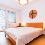 Rent 2 bedroom apartment of 55 m² in Staré Město