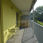 Rent 3 bedroom apartment of 70 m² in Rozzano