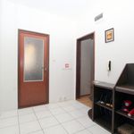 Rent 3 bedroom apartment of 81 m² in Nová Ves