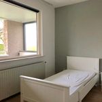 Rent 2 bedroom apartment of 67 m² in Hilversum