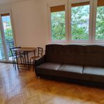 Rent 3 bedroom apartment of 43 m² in Wrocław