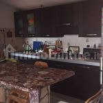 Rent 2 bedroom apartment of 50 m² in Ardea