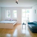 Rent 1 bedroom apartment of 48 m² in Wels