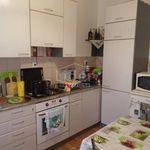 Rent 4 bedroom apartment of 66 m² in Rijeka