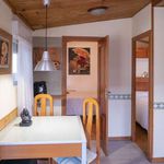 Rent 2 bedroom apartment of 70 m² in Elche