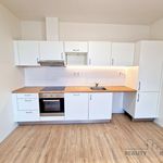 Rent 1 bedroom apartment of 32 m² in Brno