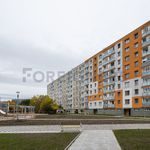 Rent 1 bedroom apartment of 20 m² in Pardubice