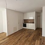 Rent 1 bedroom apartment of 39 m² in Villach