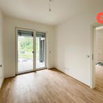 Rent 2 bedroom apartment of 36 m² in Linz