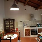 Rent 1 bedroom apartment of 40 m² in Palestrina