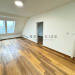 Rent 2 bedroom apartment of 59 m² in České Budějovice