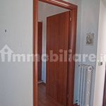 Affitto 1 camera appartamento di 45 m² in Frosinone
