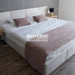 Rent 2 bedroom apartment of 49 m² in Debrecen