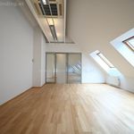 Miete 2 Schlafzimmer haus von 205 m² in Vienna