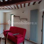 Rent 3 bedroom apartment of 70 m² in Pisa