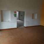 Rent 7 bedroom house of 500 m² in Delia