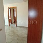 Affitto 4 camera casa di 90 m² in Frosinone