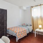 Shared Room Ensuite Male - B (Has an Apartment)
