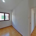 Alquilo 3 dormitorio apartamento de 69 m² en Palma
