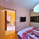 Rent 1 bedroom apartment of 65 m² in Rijeka
