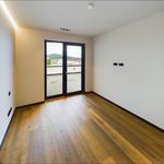 Rent 3 bedroom apartment of 194 m² in Aschaffenburg