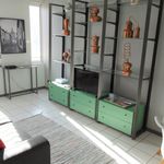 Rent 1 bedroom apartment of 40 m² in Toulouse