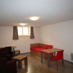 Rent 1 bedroom apartment of 30 m² in Clermont-Ferrand