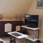 Rent 1 bedroom apartment of 30 m² in Saint-Jean-de-Folleville