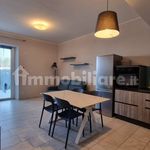 Rent 2 bedroom apartment of 53 m² in Pisa